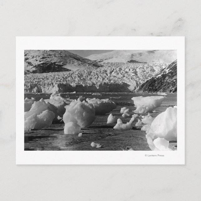 Taku Glacier near Juneau, Alaska Photograph Postcard (Front)