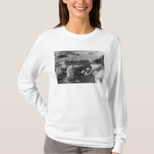 Taku Glacier near Juneau, Alaska Photograph T-Shirt