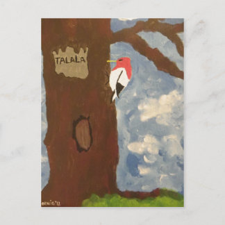 Talala Red-Headed Woodpecker Postcard