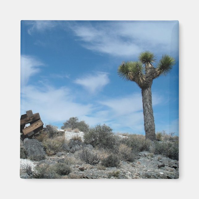 Talc Mine Ruins with Joshua Tree Magnet (Front)