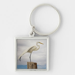 Talented Egret Fort Myers Beach, Florida Keychain
