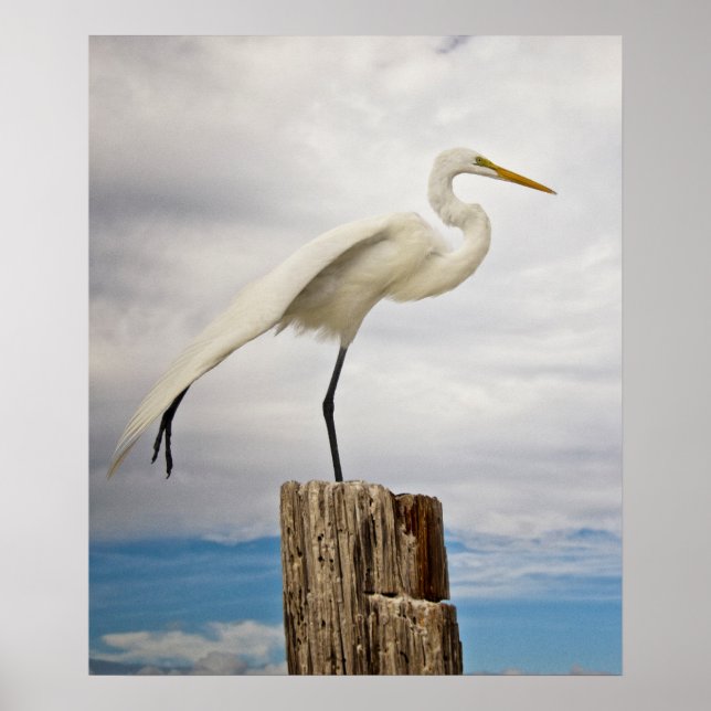 Talented Egret | Fort Myers Beach, Florida Poster (Front)