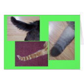 Tales (Front Horizontal)