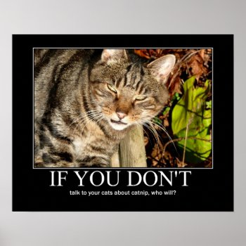 Talk About Catnip Artwork Poster by artisticcats at Zazzle