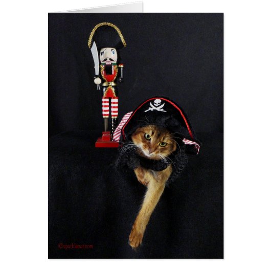 Talk Like a Pirate Day Somali Cat Cards (Front)