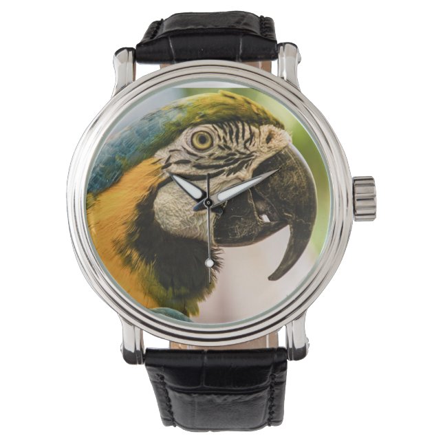 Talk Like a Pirate Watch (Front)