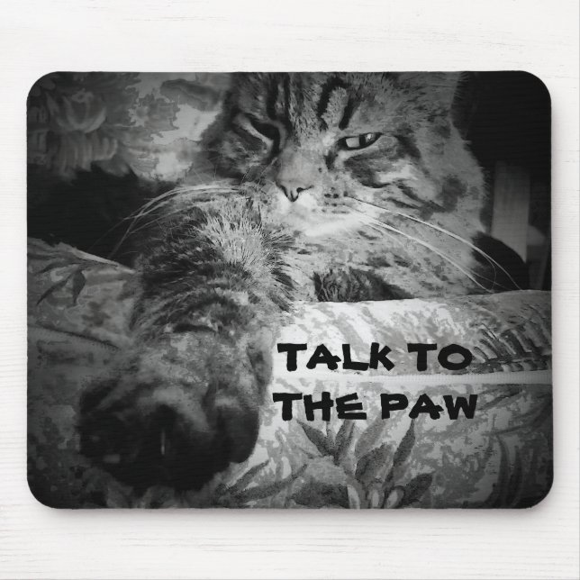 Talk to the paw Cat Meme Mouse Pad (Front)