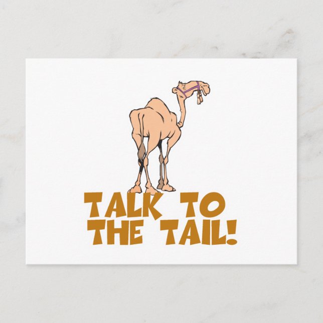 Talk to the Tail Camel Postcard (Front)