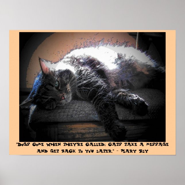 Talk to You Later with Mary Bly quote Poster (Front)