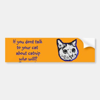 Talk To Your Cat About Catnip Bumper Sticker by aandjdesigns at Zazzle