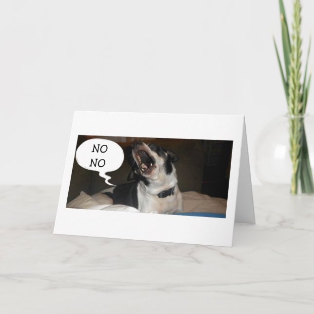 TALKING BASSETT HOUND HUMOR - BIRTHDAY CARD (Front)