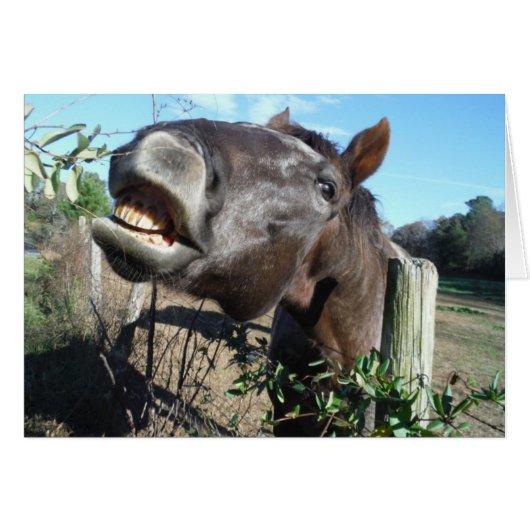 Talking Brown Horse (Front Horizontal)