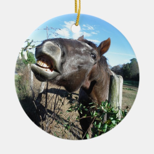 Talking Brown Horse Ceramic Ornament (Front)