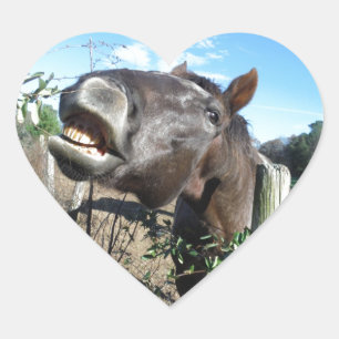 Talking Brown Horse Heart Sticker