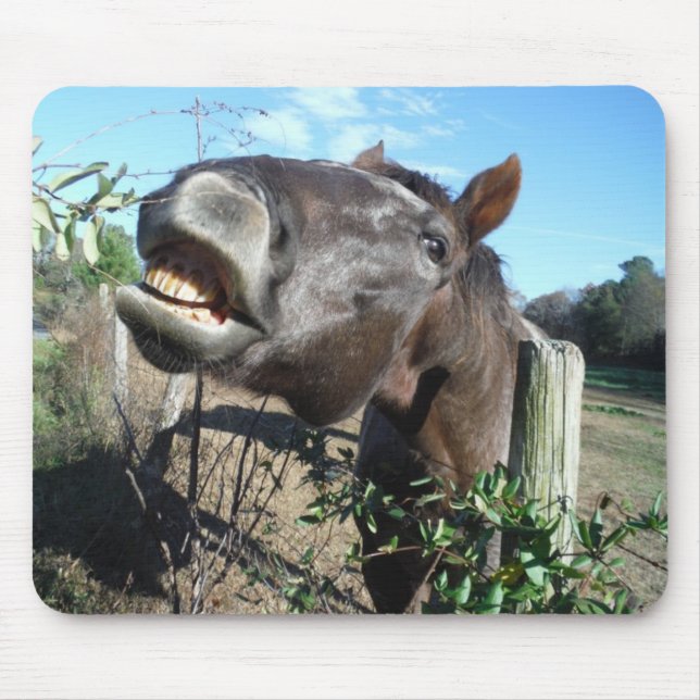 Talking Brown Horse Mouse Pad (Front)