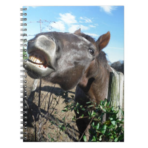Talking Brown Horse Notebook