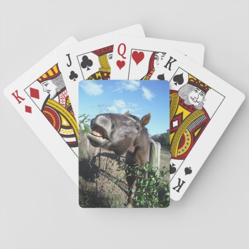 Talking Brown Horse Playing Cards