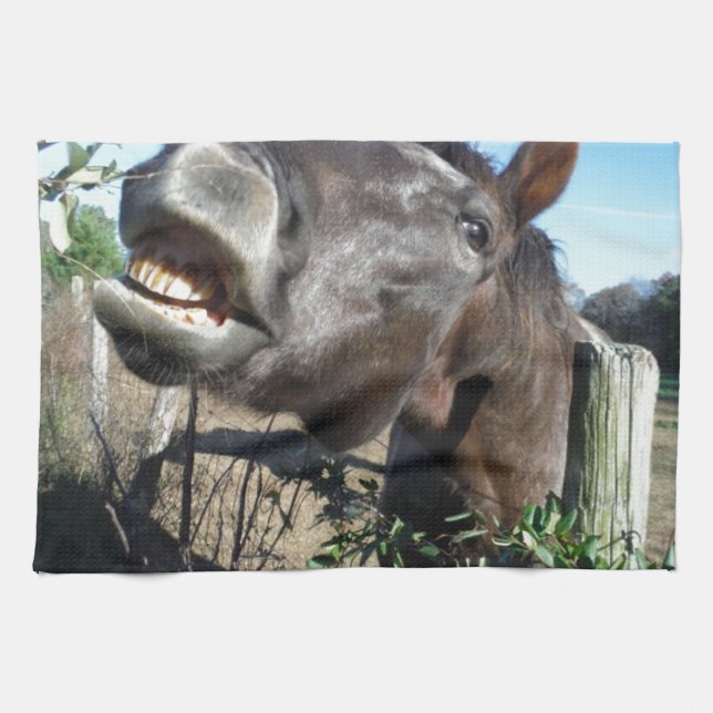 Talking Brown Horse Towel (Horizontal)