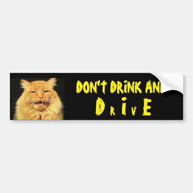 Talking Cat Says Don't Drink And DIE (Drive) Bumper Sticker (Front)