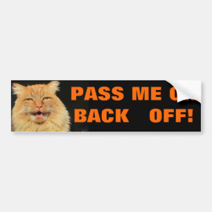 Talking Cat says "Pass or back off" Bumper Sticker