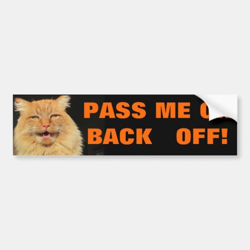 Talking Cat says Pass or back off Bumper Sticker
