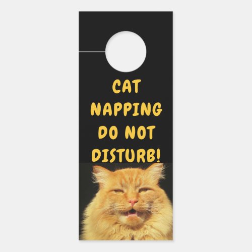 Talking Cat says Please Knock Napping Door Hanger