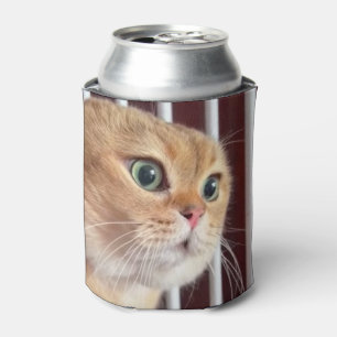Talking Cats Meme Double Sided Black Can Cooler