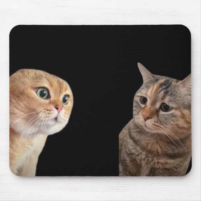 Talking Cats Meme Mouse Pad (Front)