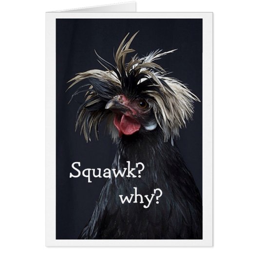 TALKING CHICKEN SQUAWK WHY "40th HUMOR" Cards (Front)
