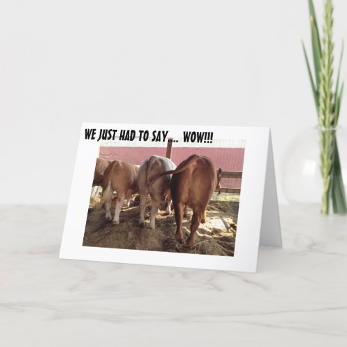 TALKING COWS MAKE GREAT GROUP BIRTHDAY CARD