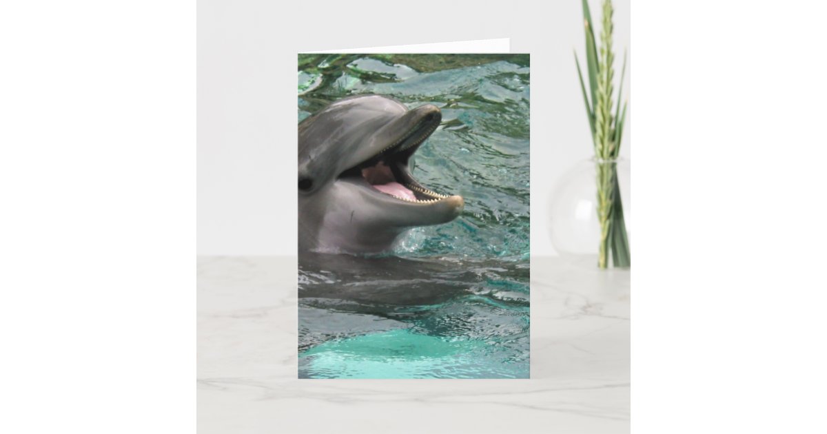 Talking Dolphin Greeting Cards | Zazzle