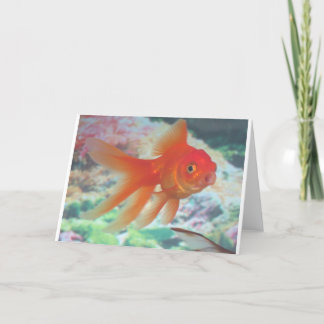 Talking Goldfish Card