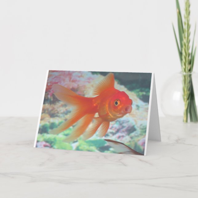 Talking Goldfish Card (Front)
