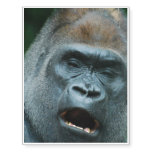 Talking Gorilla Temporary Tattoos