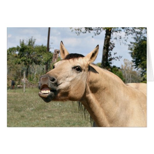 Talking horse cards (Front Horizontal)