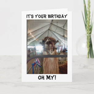 TALKING LLAMA BIRTHDAY CARD GET ME OUT!!!