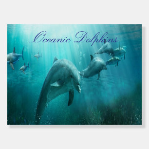 Talking Oceanic Dolphins Foam Board