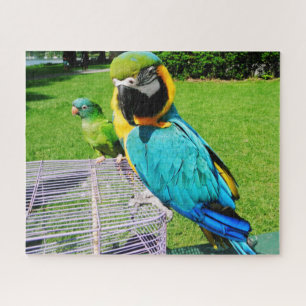 TALKING PARROTS JIGSAW PUZZLE