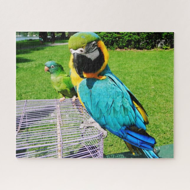 TALKING PARROTS JIGSAW PUZZLE (Horizontal)