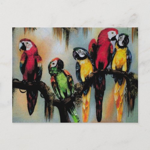 Talking Parrots  Postcard Bird Nature Wild