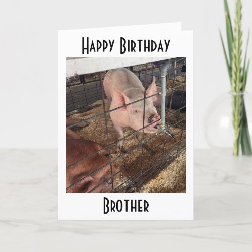 TALKING PIG LOVES HIS OLDER BROTHER BIRTHDAY HOLIDAY CARD