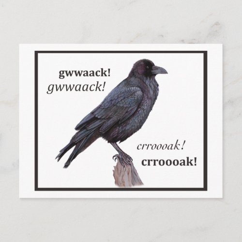 Talking Raven Greeting Postcard