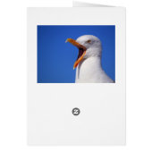 Talking Seagull (Back)