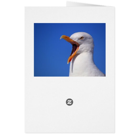 Talking Seagull (Back)