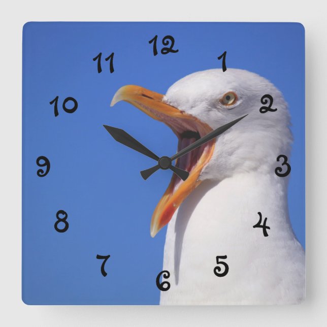 Talking Seagull Square Wall Clock (Front)