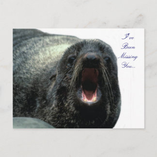 Talking Seal postcard 
