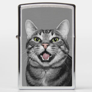 Talking tabby cat zippo lighter