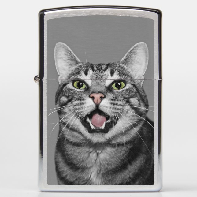 Talking tabby cat zippo lighter (Front)