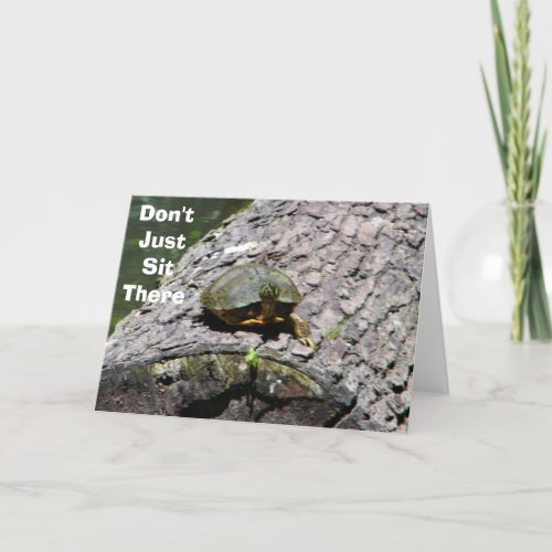 TALKING TURTLE_40th BIRTHDAY ADVICE Card