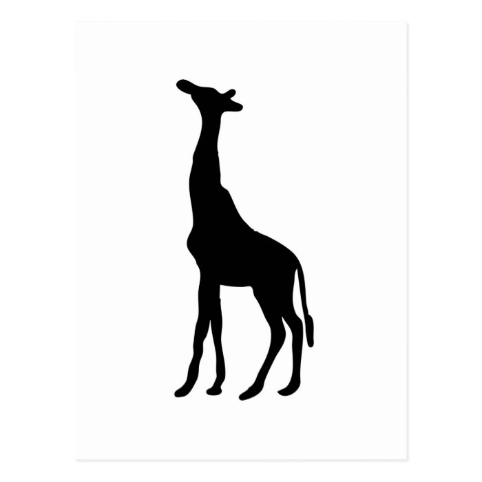 Tall African Giraffe Animal Silhouette Giraffidae Post Card